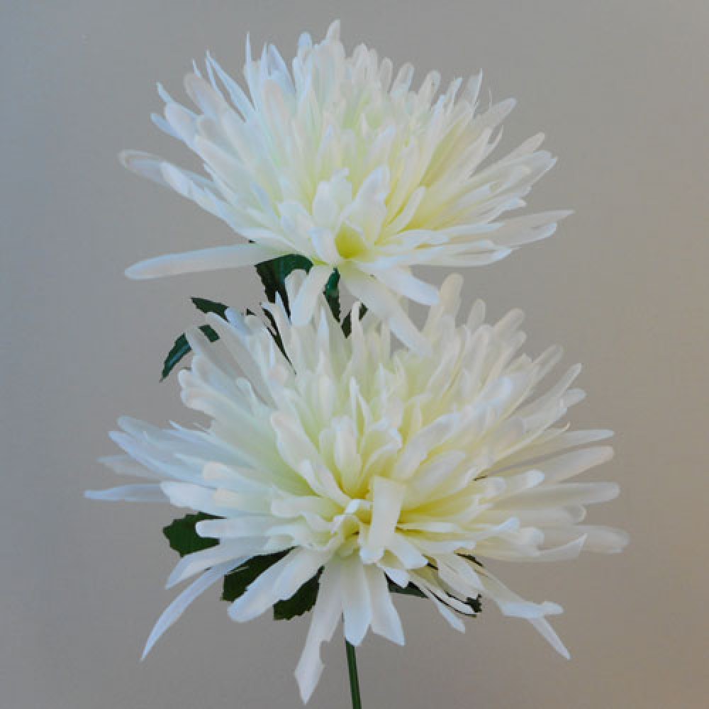 Artificial Spider Chrysanthemums Cream with Green Leaves 64cm Silk